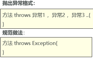 抛异常格式